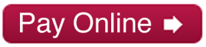 pay-button